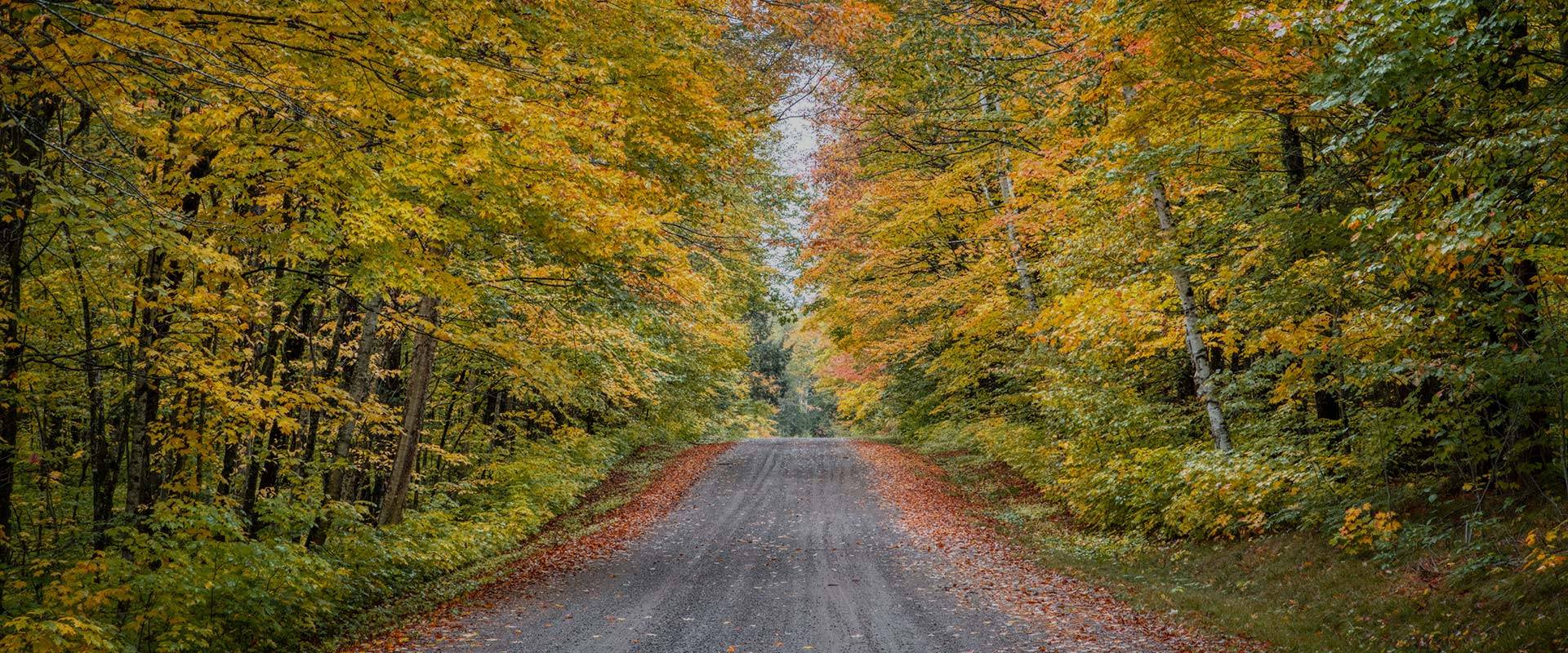 Autumn Empty Road